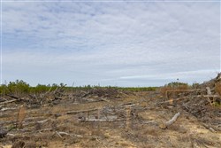 Lightning Ridge Tract 142