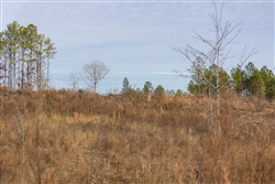 Lightning Ridge Tract 143