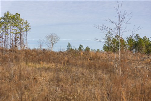 Lightning Ridge Tract 143