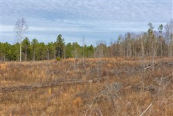 Lightning Ridge Tract 143