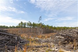 Lightning Ridge Tract 143