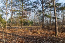 Lightning Ridge Tract 144