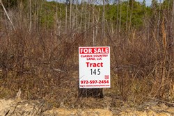 Lightning Ridge Tract 145