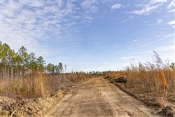 Lightning Ridge Tract 145