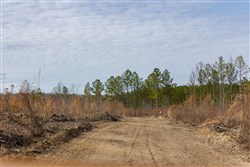 Lightning Ridge Tract 145