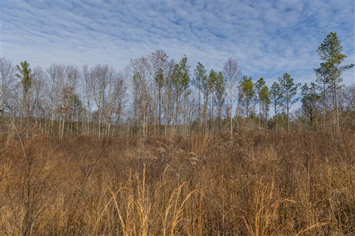 Lightning Ridge Tract 146