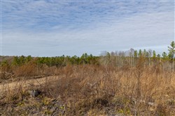 Lightning Ridge Tract 146