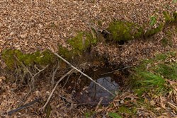 Lightning Ridge Tract 146