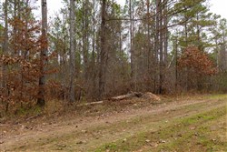 Lightning Ridge Tract 147