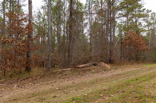 Lightning Ridge Tract 147