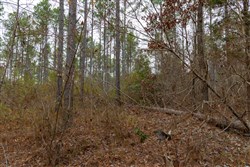 Lightning Ridge Tract 147