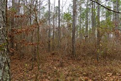 Lightning Ridge Tract 147