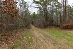 Lightning Ridge Tract 147