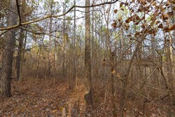 Lightning Ridge Tract 148