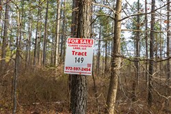 Lightning Ridge Tract 149