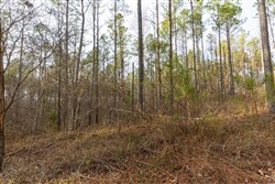 Lightning Ridge Tract 149