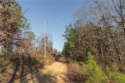 Lightning Ridge Tract 15
