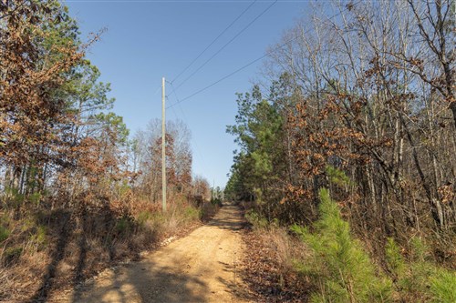 Lightning Ridge Tract 15