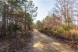 Lightning Ridge Tract 15