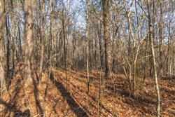 Lightning Ridge Tract 15