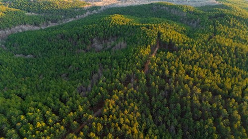 Lightning Ridge Tract 151