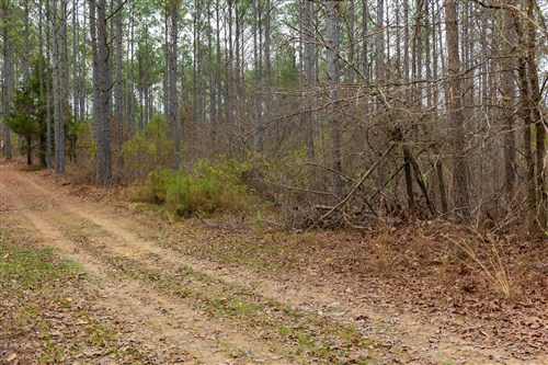 Lightning Ridge Tract 151