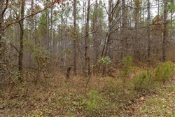 Lightning Ridge Tract 151