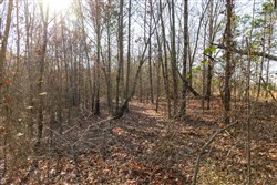 Lightning Ridge Tract 16