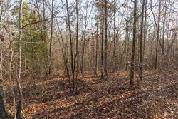 Lightning Ridge Tract 16