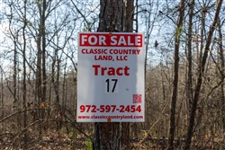 Lightning Ridge Tract 17