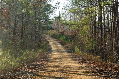 Lightning Ridge Tract 17