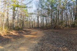 Lightning Ridge Tract 17