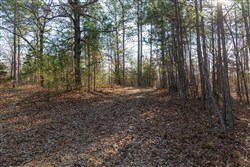 Lightning Ridge Tract 17