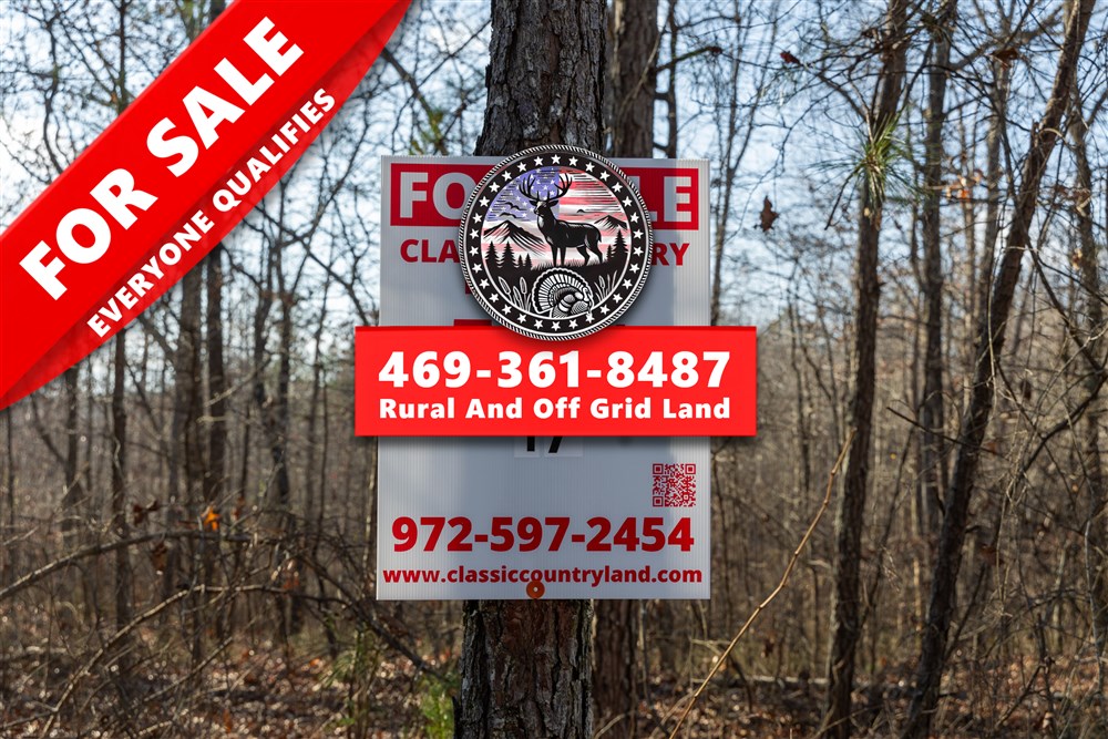 Lightning Ridge Tract 17 - Primary