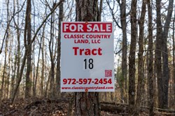 Lightning Ridge Tract 18