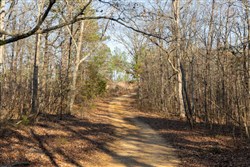 Lightning Ridge Tract 18