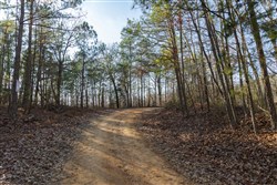 Lightning Ridge Tract 18