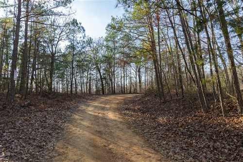 Lightning Ridge Tract 18