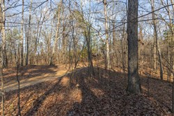 Lightning Ridge Tract 18