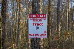 Lightning Ridge Tract 19