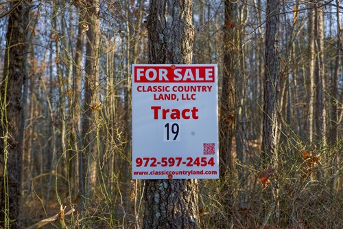 Lightning Ridge Tract 19