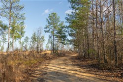 Lightning Ridge Tract 19