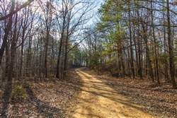 Lightning Ridge Tract 19