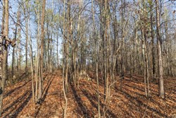 Lightning Ridge Tract 19