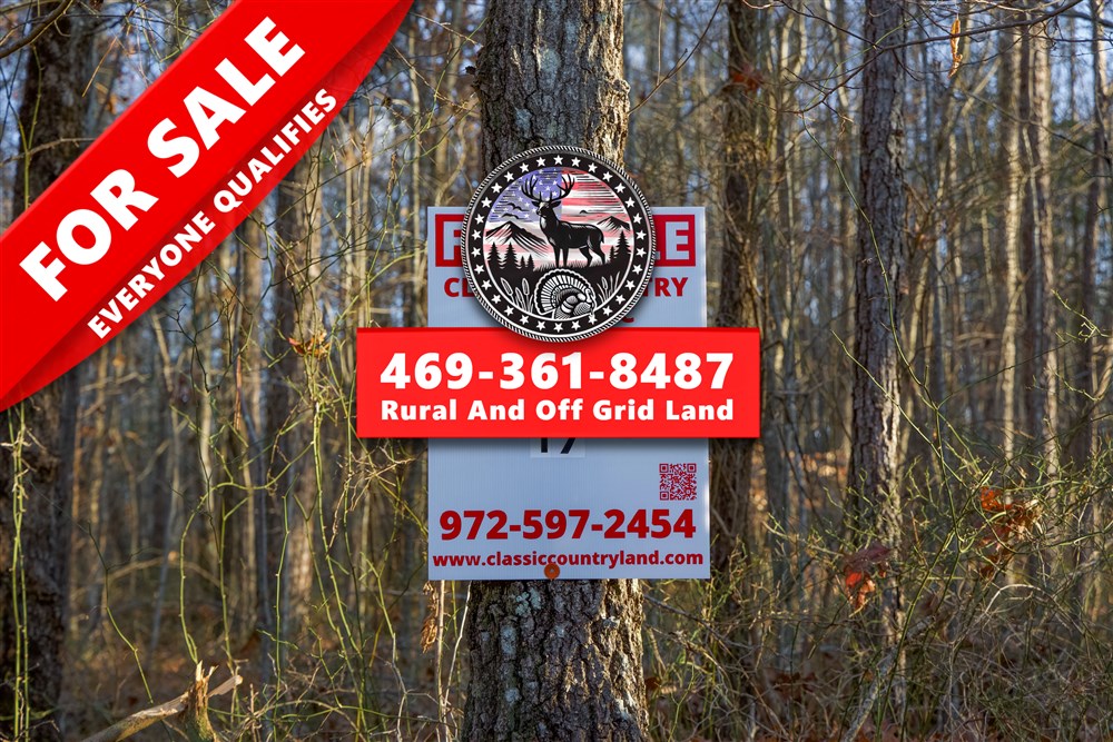 Lightning Ridge Tract 19 - Primary