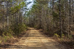 Lightning Ridge Tract 2