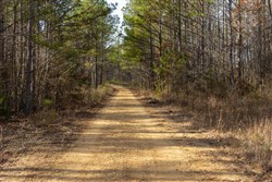Lightning Ridge Tract 2