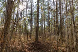 Lightning Ridge Tract 2