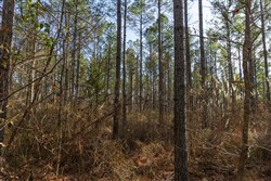 Lightning Ridge Tract 2