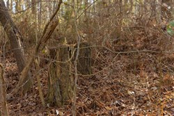 Lightning Ridge Tract 2